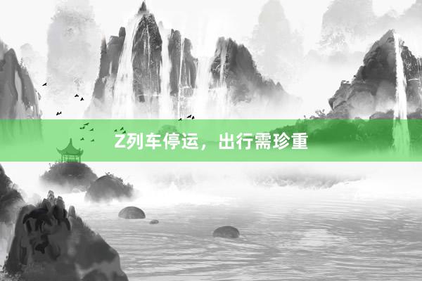Z列车停运，出行需珍重