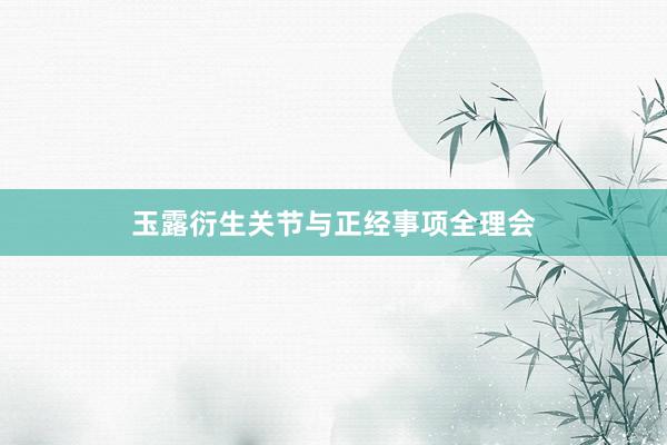 玉露衍生关节与正经事项全理会
